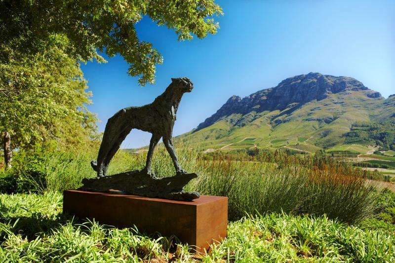 Delaire Graff Lodges And Spa Stellenbosch Kültér fotó